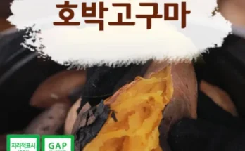 백화점에서 난리난 화산농협 해남 황토 호박고구마 8kg 추천 베스트8