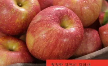 나만 보고 싶은 2023 가족 의성진 보조개사과 2.5kg2박스총 5kg 추천상품