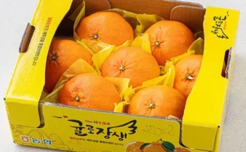 놓치면 후회할 귤로장생 제주 레드향 3.5kg1박스 추천상품