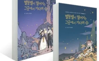 인플루언서들이 먼저 찾는 별똥별이떨어지는그곳에서기다려 추천 리뷰