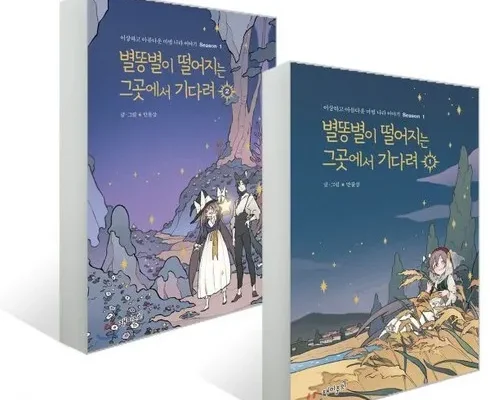 인플루언서들이 먼저 찾는 별똥별이떨어지는그곳에서기다려 추천 리뷰