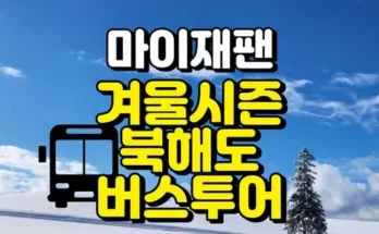 가성비 끝판왕 삿포로비에이투어 추천 베스트8