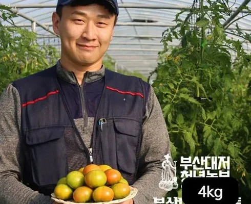 미리주문필수!! 부산대저토마토  총 4kg  2kgX2박스 추천 베스트8