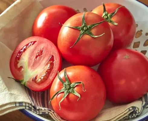 백화점에서 난리난 프리미엄토마토 추천상품