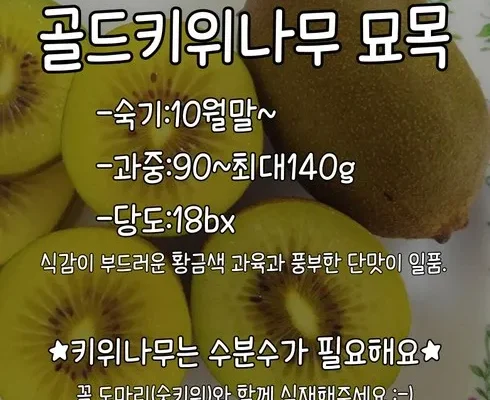 망설일수록 손해보는 골드키위묘목 추천상품