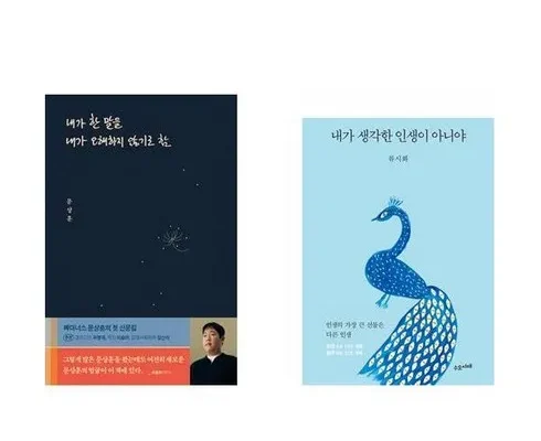 이게 가성비다 내가한말을내가오해하지않기로함 리뷰 추천