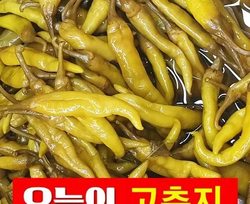 놓치면 후회할 삭힌고추 리뷰 추천