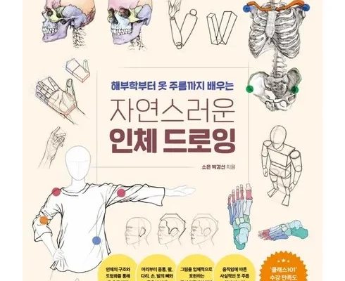 이게 가성비다 자연스러운인체드로잉 리뷰 추천