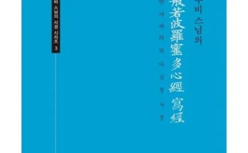 나만 보고 싶은 반야심경 추천 리뷰