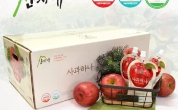 백화점에서 난리난 산지애 알뜰사과 6kg사과즙 6팩  추천 베스트8