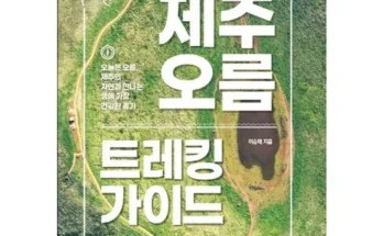 나만 보고 싶은 제주영어캠프 추천 리뷰