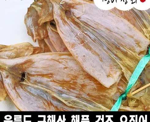 혁신적인 구룡포 마른 오징어 60g x 10미  총 600g_3 적극추천