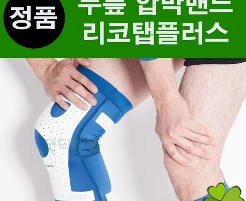 가성비 끝판왕 리코탭플러스 후기