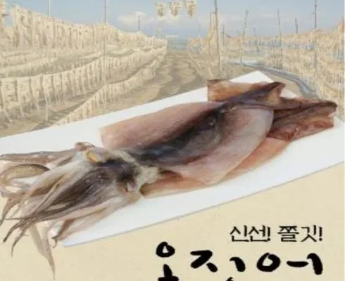 눈에 띄는 반건조 피데기오징어 130g150g X 20마리  적극추천