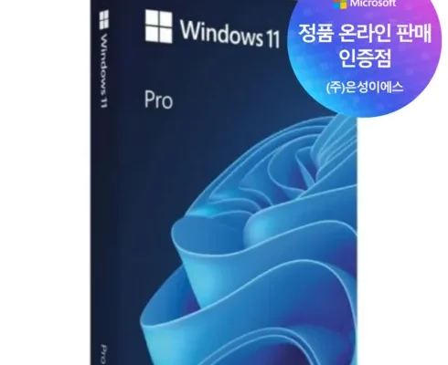 진짜 좋은 windows11fpp 리뷰