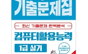 프리미엄 시나공컴활1급실기 Best8추천